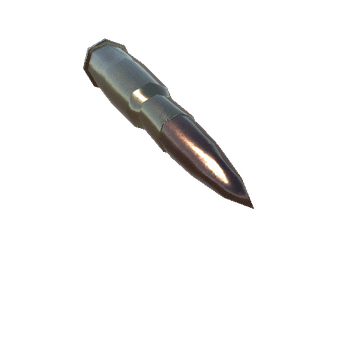 8 mm Lebel Round_1_2